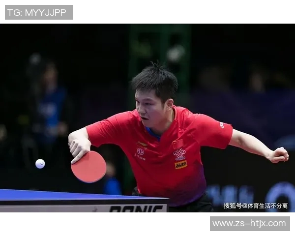 南京乒乓球队在挑战赛中的力量展现与技术分析全面点评
