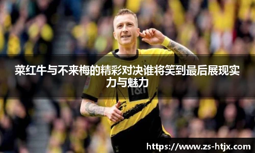 菜红牛与不来梅的精彩对决谁将笑到最后展现实力与魅力